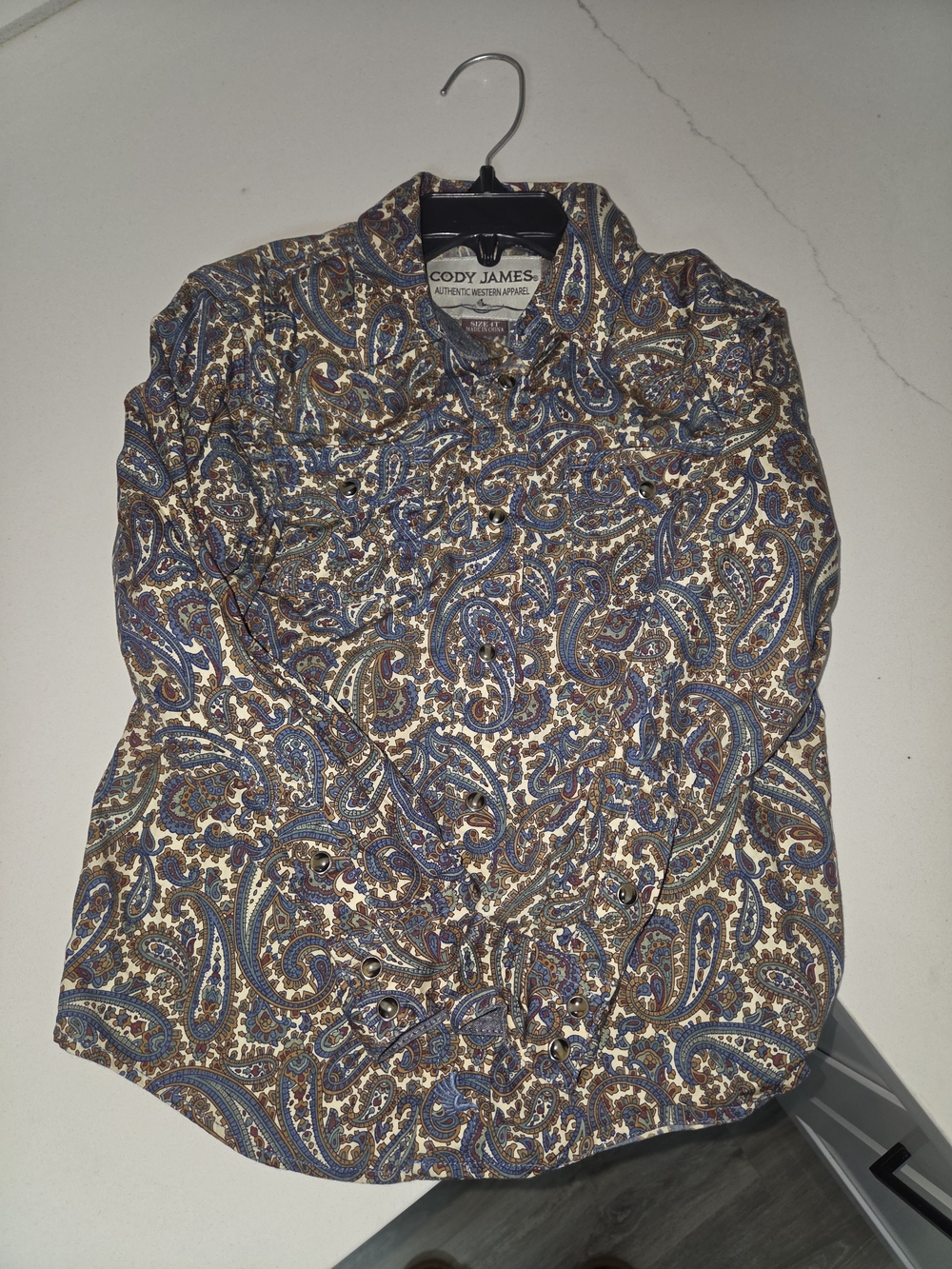 Cody James Boys' Blue & Brown Paisley Button-Down Shirt
